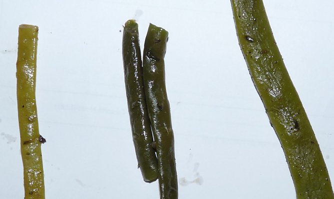 Wie sonst nach der Wahl (Foto: Karl-Heinz Herrmann) Wie sonst nach der Wahl (Foto: Karl-Heinz Herrmann)