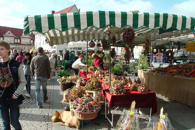 Großer Pflanzenmarkt mit Aktionstag (Foto: Karl-Heinz Herrmann) Großer Pflanzenmarkt mit Aktionstag (Foto: Karl-Heinz Herrmann)