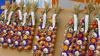 Glück gehabt (Foto: privat) Glück gehabt (Foto: privat)