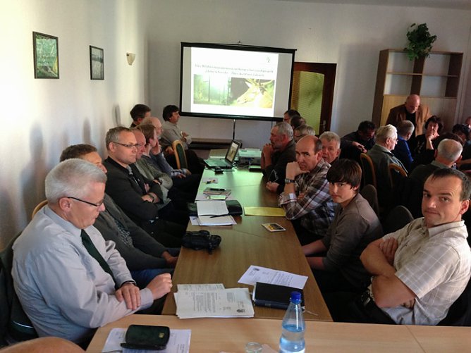 Schwarzwildplage in der Hohen Schrecke (Foto: Karl-Heinz Herrmann) Schwarzwildplage in der Hohen Schrecke (Foto: Karl-Heinz Herrmann)