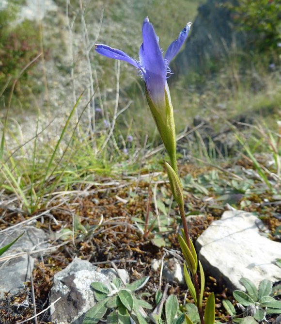 In der Hohen Schrecke (Foto: Claudia Barnkoth)