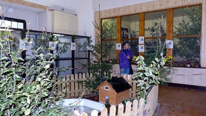 Sehenswerte Ausstellung (Foto: Peter Möbius) Sehenswerte Ausstellung (Foto: Peter Möbius)