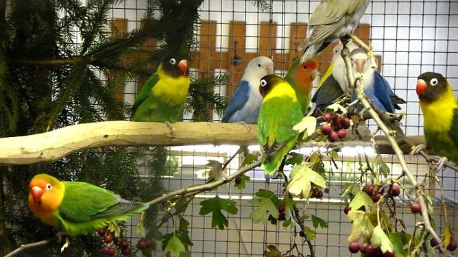 Sehenswerte Ausstellung (Foto: Peter Möbius) Sehenswerte Ausstellung (Foto: Peter Möbius)