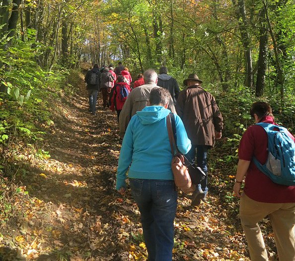 Durch die hohe Schrecke (Foto: Hohe Schrecke)