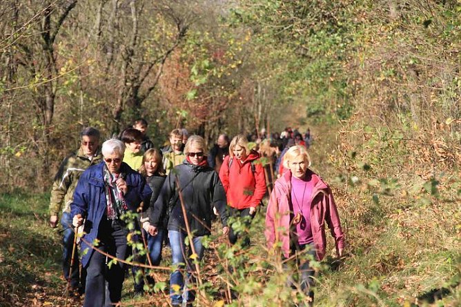 Reformationstags-Wanderung (Foto: B. Wollweber) Reformationstags-Wanderung (Foto: B. Wollweber)