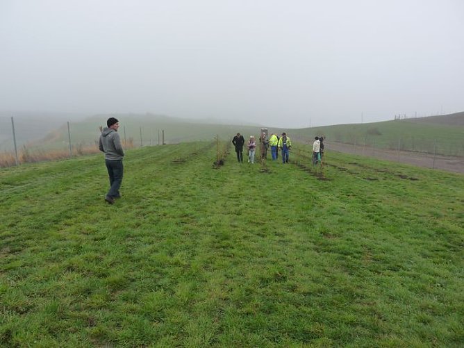 Begrünung der Rückstandshalde (Foto: Karl-Heinz Herrmann) Begrünung der Rückstandshalde (Foto: Karl-Heinz Herrmann)