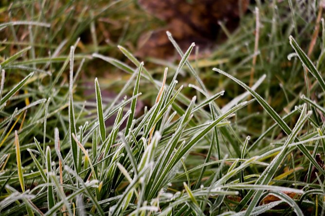 Wetter-Bild (Foto: G. Thelemann)