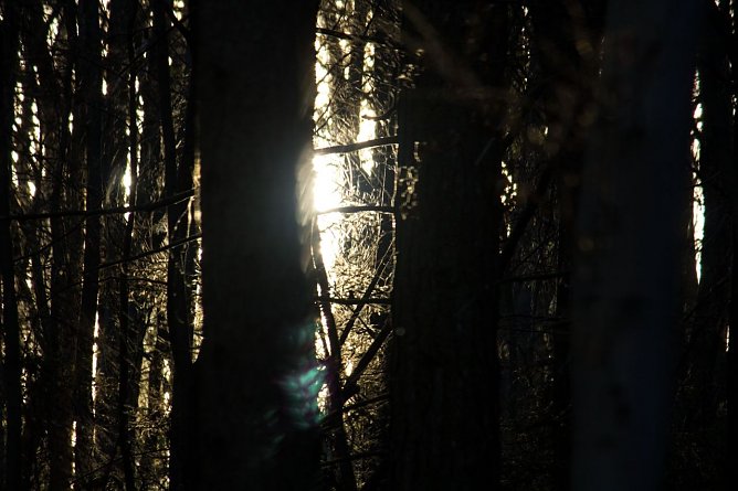 Das Wetter-Bild (Foto: Gernot Thelemann) Das Wetter-Bild (Foto: Gernot Thelemann)