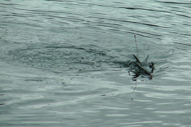 Weihnachtsmann verschwunden? (Foto: Karl-Heinz Herrmann)