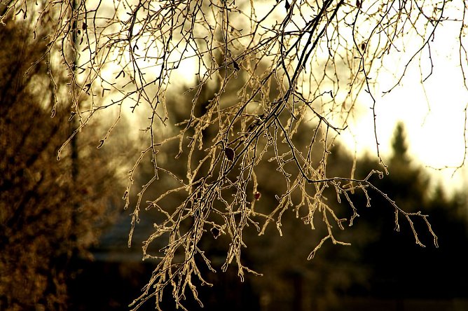 Wetter-Bild (Foto: Gernot Thelemann) Wetter-Bild (Foto: Gernot Thelemann)