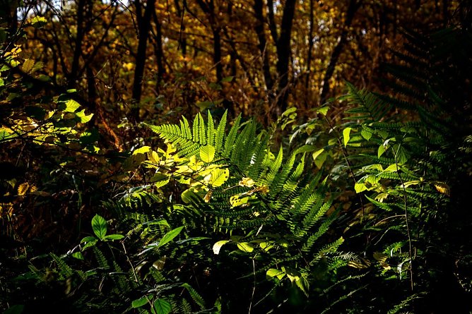 Wetter-Bild (Foto: Gernot Thelemann)