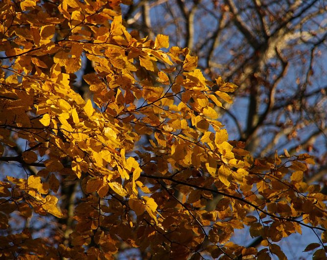 Das etwas andere Wetter-Bild (Foto: Gernot Thelemann)