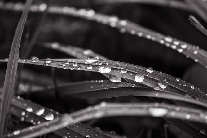 Wetter-Bild (Foto: Gernot Thelemann) Wetter-Bild (Foto: Gernot Thelemann)