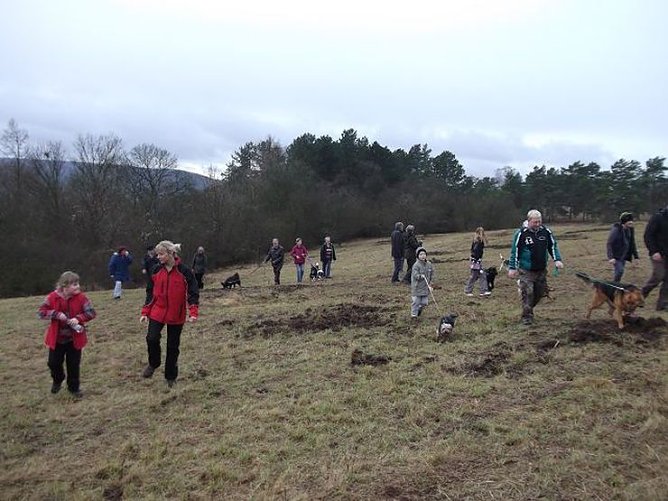 4-Pfoten Hundeclub aktiv (Foto: Olivia Heinzel)