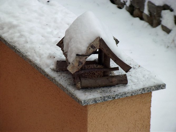 Im Winter unsere heimischen V&ouml;gel.. (Foto: Thomas Leipold)