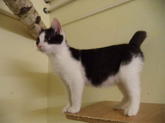 Glodel (Foto: C. Knust)