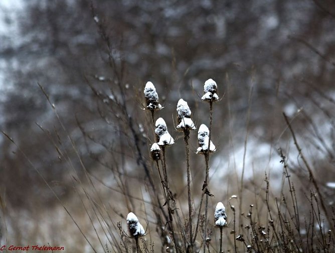 Wetter-Bild (Foto: Gernot Thelemann) Wetter-Bild (Foto: Gernot Thelemann)