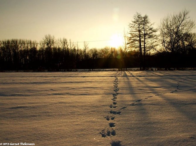 Wetter-Bild (Foto: Gernot Thelemann) Wetter-Bild (Foto: Gernot Thelemann)
