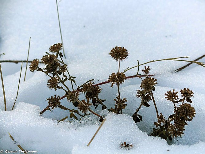 Wetter-Bild (Foto: Gernot Thelemann) Wetter-Bild (Foto: Gernot Thelemann)