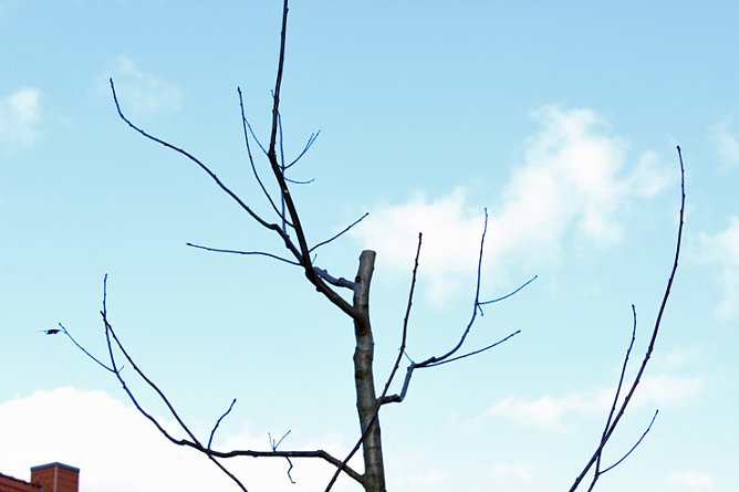 Vandalen am Gottesacker (Foto: Karl-Heinz Herrmann) Vandalen am Gottesacker (Foto: Karl-Heinz Herrmann)