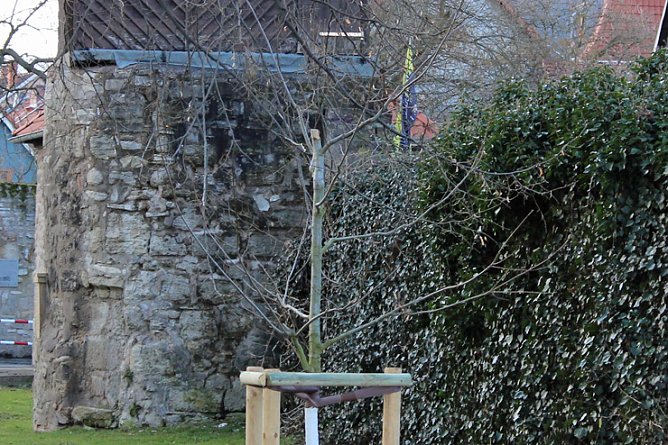 Vandalen am Gottesacker (Foto: Karl-Heinz Herrmann) Vandalen am Gottesacker (Foto: Karl-Heinz Herrmann)