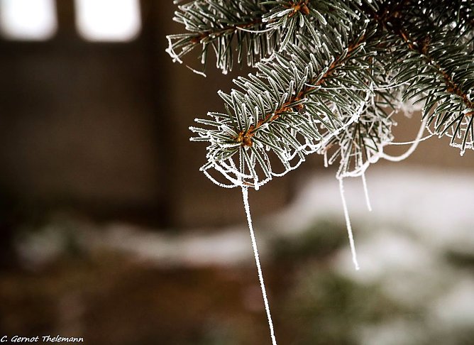 Wetter-Bild (Foto: Gernot Thelemann)