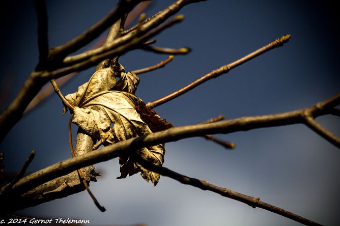 Wetter-Bild (Foto: Gernot Thelemann)