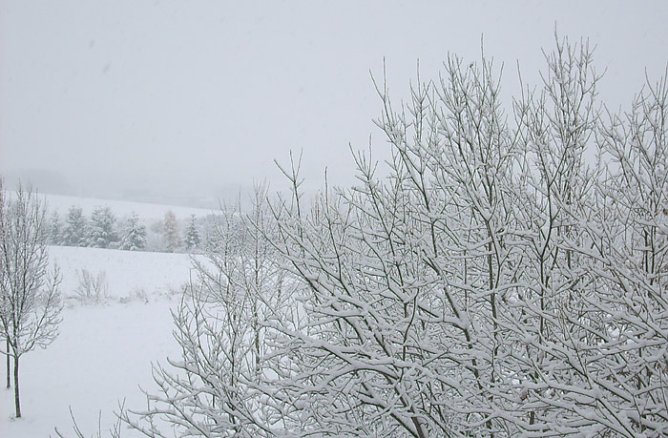 Winterlandschaft (Foto: Karl-Heinz Herrmann)