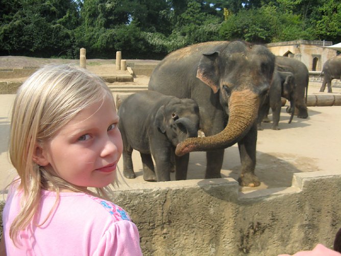 Ab in den Zoo (Foto: Kreisjugendring)
