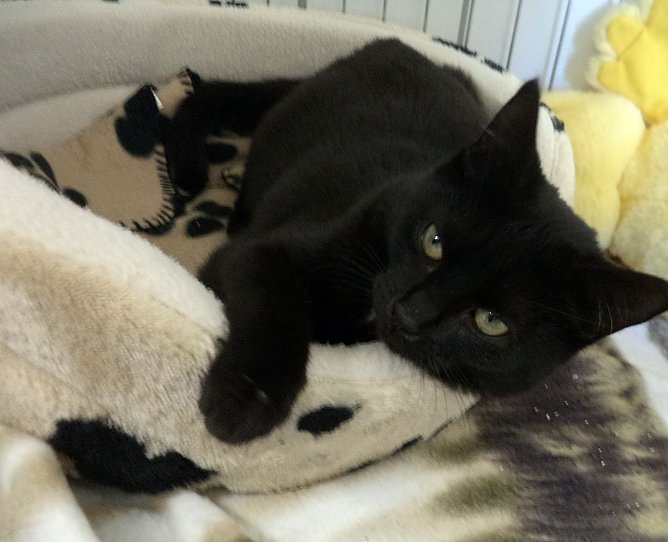 Ilona (Foto: C. Knust) Ilona (Foto: C. Knust)