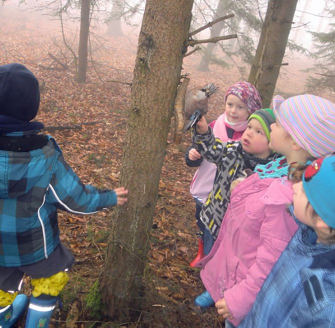 Waschbären und Bienen ... (Foto: Kindervilla Bad Frankenhausen) Waschbären und Bienen ... (Foto: Kindervilla Bad Frankenhausen)