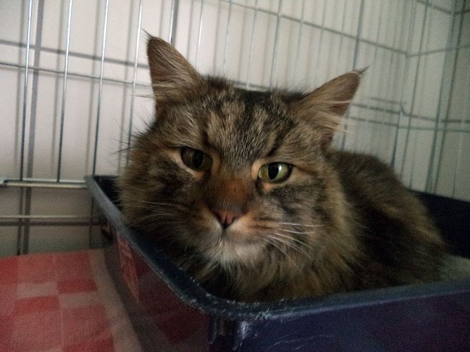 Findelkind (Foto: C. Knust) Findelkind (Foto: C. Knust)