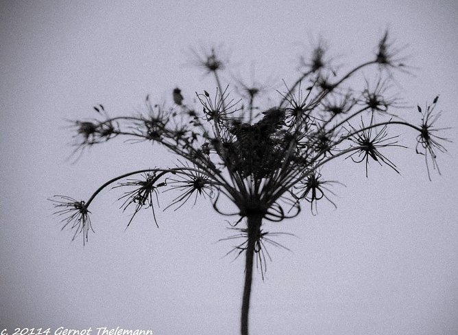 Wetter-Bild (Foto: Gernot Thelemann) Wetter-Bild (Foto: Gernot Thelemann)