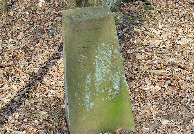 Was nicht alles bl&uuml;ht! (Foto: Karl-Heinz Herrmann)