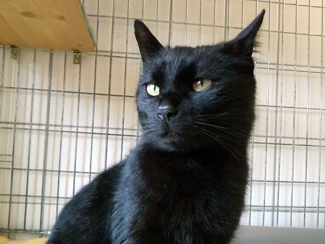 In Ellrich gefunden (Foto: C. Knust) In Ellrich gefunden (Foto: C. Knust)