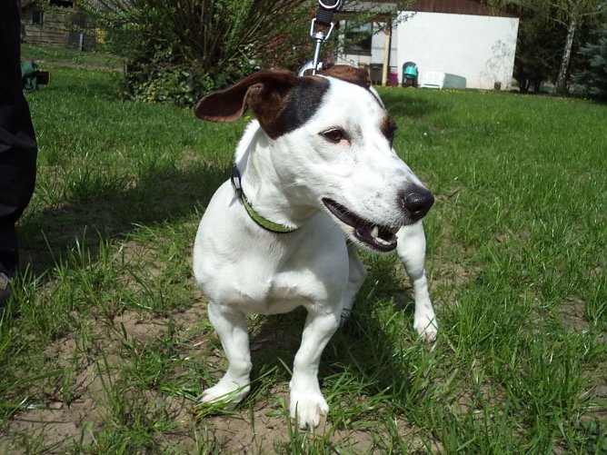 Luna (Foto: C. Knust) Luna (Foto: C. Knust)