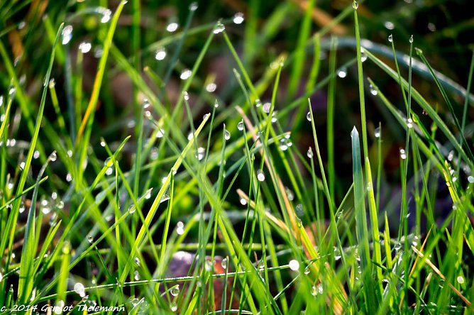 Wetter-Bild (Foto: Gernot Thelemann)