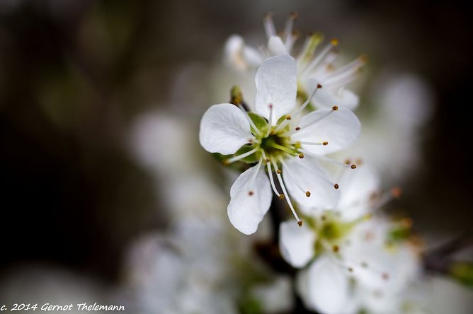 Wetter-Bild (Foto: Gernot Thelemann) Wetter-Bild (Foto: Gernot Thelemann)