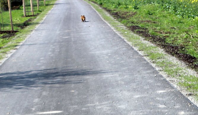 Sieg nach Punkten für kn (Foto: Karl-Heinz Herrmann) Sieg nach Punkten für kn (Foto: Karl-Heinz Herrmann)