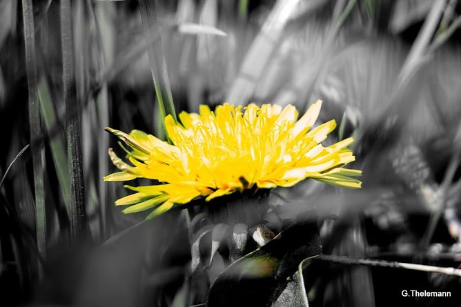 Wetter-Bild (Foto: Gernot Thelemann) Wetter-Bild (Foto: Gernot Thelemann)