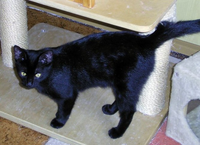 Mirella  (Foto: C. Knust)