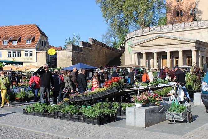 Pflanzen &uuml;ber Pflanzen (Foto: Karl-Heinz Herrmann)