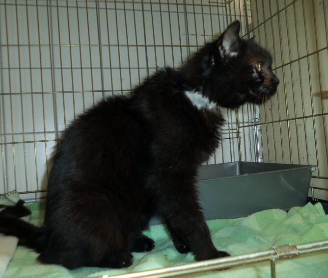 Findelkind (Foto: C. Knust) Findelkind (Foto: C. Knust)