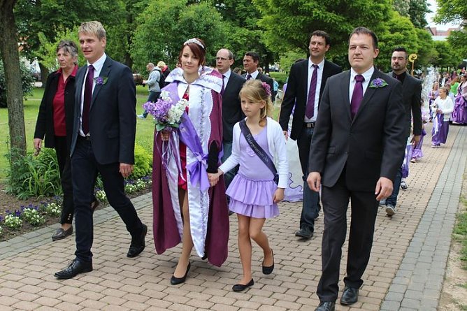 Flieder gepflanzt (Foto: Karl-Heinz Herrmann) Flieder gepflanzt (Foto: Karl-Heinz Herrmann)