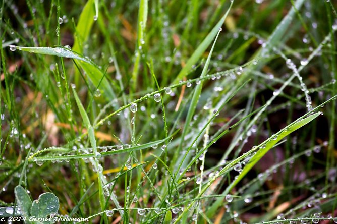 Wetter-Bild (Foto: Gernot Thelemann) Wetter-Bild (Foto: Gernot Thelemann)