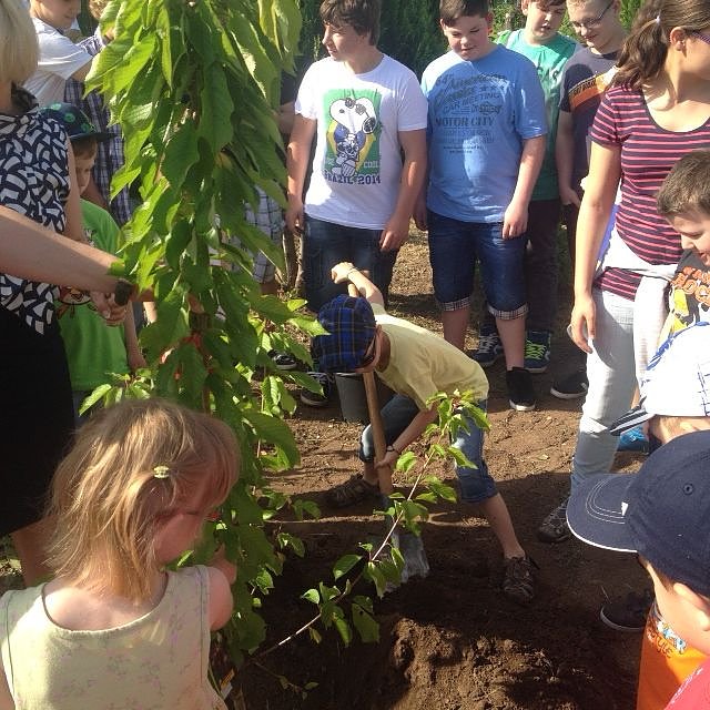 Zuckert&uuml;tenfest in Oldisleben (Foto: Landratsamt Kyffh&auml;userkreis)