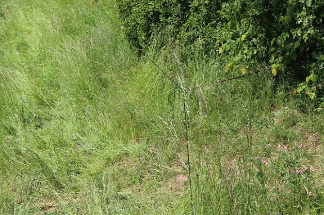 Abschlussübung und feierlicher Appell (Foto: Karl-Heinz Herrmann) Abschlussübung und feierlicher Appell (Foto: Karl-Heinz Herrmann)