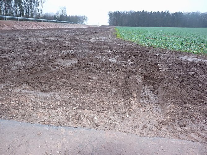 Spur im Schlamm (Foto: Karl-Heinz Herrmann)