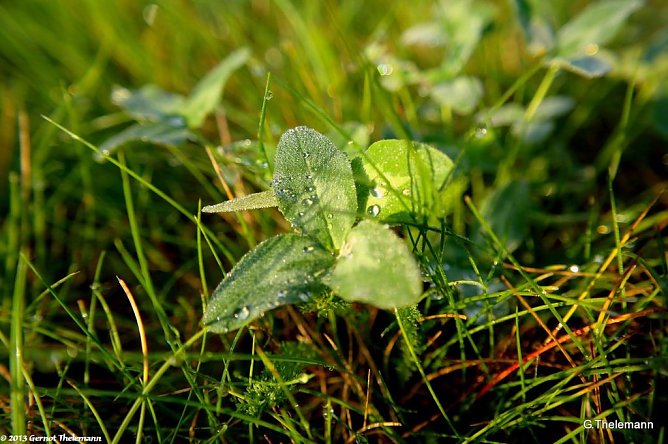 Wetterbild (Foto: Gernot Thelemann) Wetterbild (Foto: Gernot Thelemann)