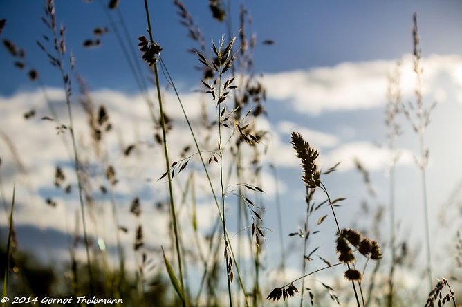 Wetterbild (Foto: Gernot Thelemann) Wetterbild (Foto: Gernot Thelemann)